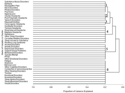 Clusters of conditions among US service members diagnosed with mild TBI from 2017 through 2019